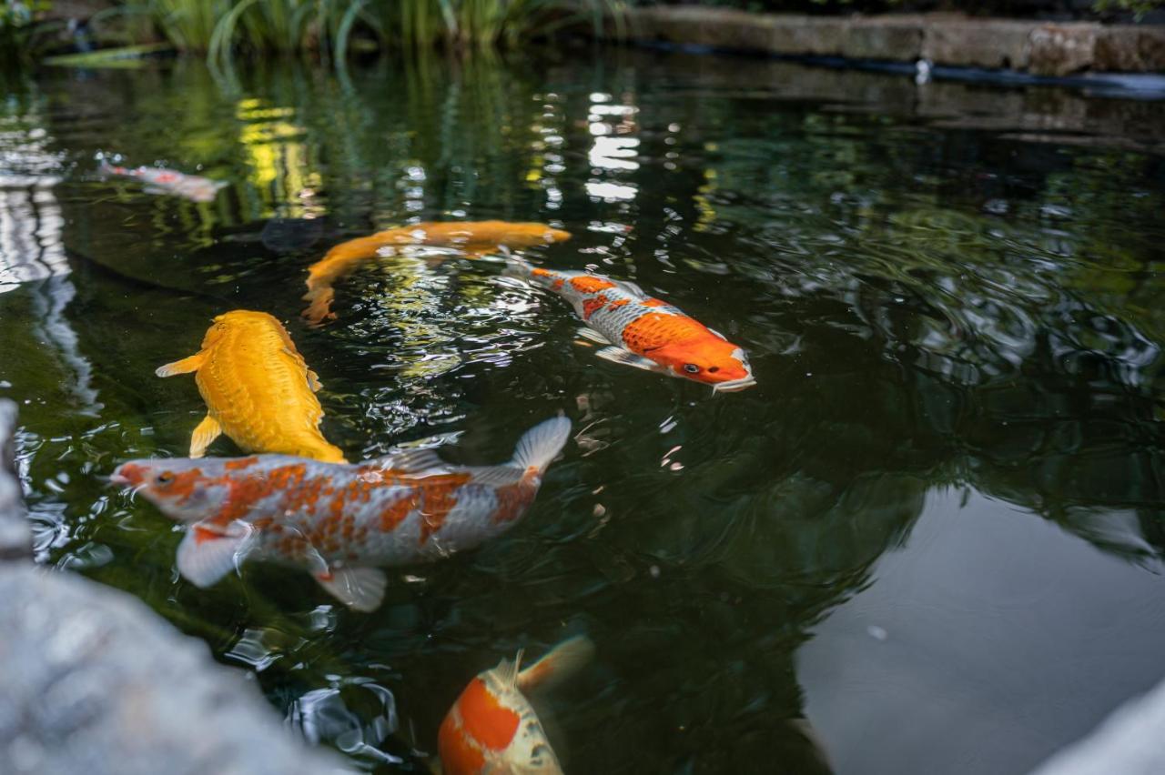 Villa Ladurner ティローロ エクステリア 写真